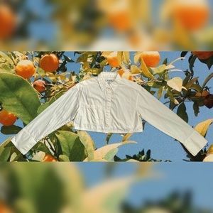 Cropped White Button-Up - NWOT